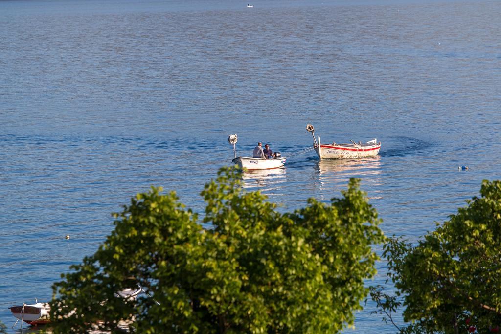 Villa Veca Starigrad Paklenica Buitenkant foto