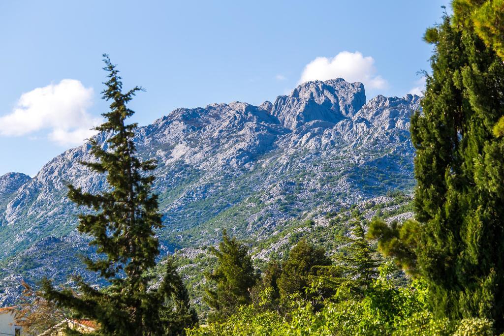 Villa Veca Starigrad Paklenica Buitenkant foto